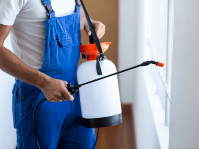 About Bed Bug Inspection Roosevelt - bed bug inspection experts in Roosevelt