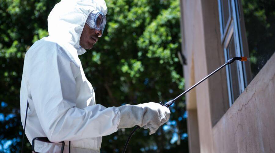 Why choose Bed Bug Inspection Roosevelt for bed bug inspection in Roosevelt